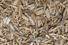 biomass boilers Flitholme